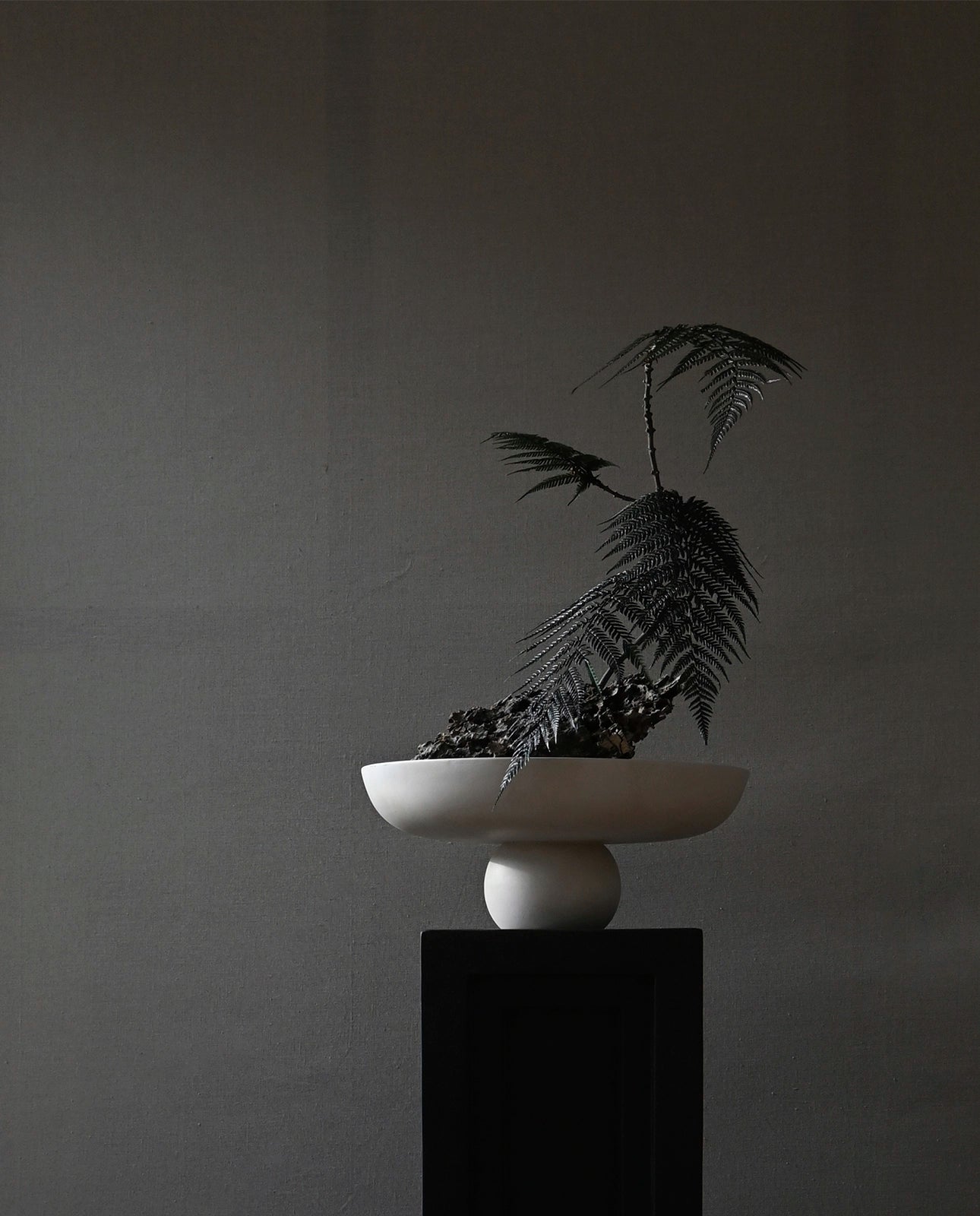 Baburu Bowl - Birch